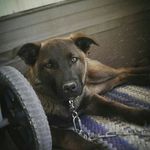 Aaron Tyler Gross - @aa.ron_gross_ - Instagram
