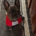 Aaron Groezinger - Facebook