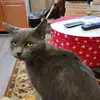 aarongrotewiel - @aarongrotewiel - TikTok