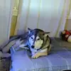 Aaron Guevara - @aaronguevara872 - TikTok