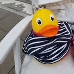 Thijn Aaron Guhl - @thijn_guhl - Instagram