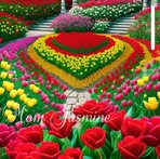 Arabgul Aran Gul - Facebook