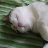 aaronbrans - @aaronbrans - TikTok