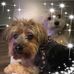 Erin Gulbranson - Facebook
