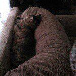Aaron_Gumminger :) - @aaron_gumminger - Instagram