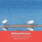 Aaron Gunning - @gunningaaron - Instagram