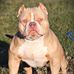 Aaron Gussie - Facebook