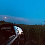 Aaron Gutierrez - @arongutierrez777 - Instagram