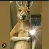 Aaron Gutierrez - @aaron.gutierrez54 - TikTok