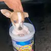 Aaron Gutierrez - @aaron.gutierrez107 - TikTok