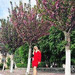 @_aaron_guy - Instagram