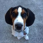 Aaron Haake - @a_aronhaake - Instagram