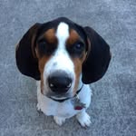 Aaron Haake - @a_aronhaake - Instagram