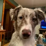 Aaron Hackford - @athackford - Instagram