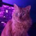 Aaron Hafeman - Facebook