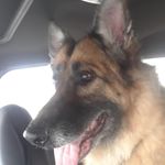 Aaron Haight - @yurboyaaron - Instagram