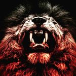 Aaron O'Halloran - @aaron.ohalloran - Instagram