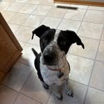 Aaron Hambleton - @ahambleton - Instagram