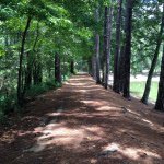 Aaron Hammer - @golfinmyball - Instagram