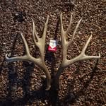 Aaron Hammett - @wyoaaron - Instagram