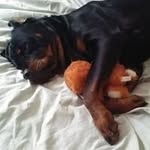 Aaron Haney - @aaron.haney.9484 - Instagram