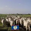Aaron Harder - @aaron.harder7 - TikTok