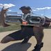 Aaron Harding - Facebook