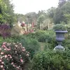 aaronharding495 - @aaronharding495 - TikTok