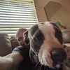 aaronharding71 - @aaronharding71 - TikTok