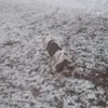 Aaron Harrison - @aaron.harrison8 - TikTok