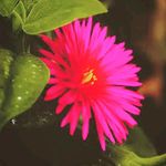 Aaron Harsha - @aaronharsha2 - Instagram