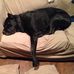 Aaron Hartwell - Facebook