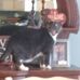 Aaron Hartzell - Facebook