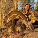 Aaron Hartzell - @mountain.packer - Instagram