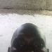 Aaron Momoh Hassan Kamara - Facebook