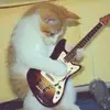 Aaron Hasley - @haper_777 - TikTok