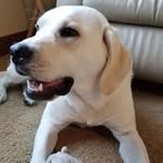 Aaron Hass - @aaron.hass.58 - Instagram
