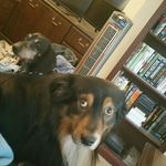 Aaron Hassell - @aaron.hassell - Instagram