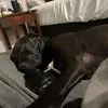 Aaron Hashinger - @aaron.hashinger - TikTok