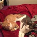 Aaron Hauser - @ahouse723 - Instagram