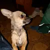 Aaron Hauser - @aaron.hauser - TikTok