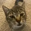 Aaron Havery - @_.aaron_lovesu._ - TikTok