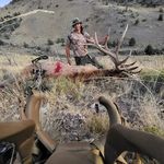 Aaron Hays - @aaron.hays.37 - Instagram