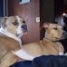 Aaron Headrick - Facebook