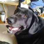 Aaron Heidel - @aaronheidel - Instagram