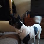 Aaron Henshaw - @henshawaaron4 - Instagram