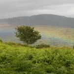Aaron Henshaw - @afruitfulvision - Instagram