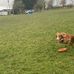 Aaron-Olly Henshaw - Facebook