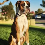 Aaron Hensley - @wegotajumper - Instagram