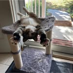 Aaron Hensley - @nstuff12345 - Instagram